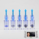 Kalıcı Makyaj İğnesi ( Biotouch Mosaic )