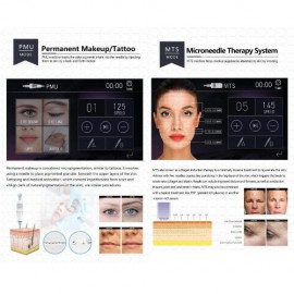 Kalıcı Makyaj İğnesi ( Biotouch Mosaic )