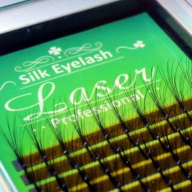 Silk Eyelash Case (6D W 180PCS))