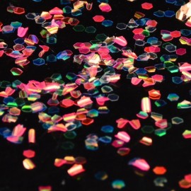 0002 - 12 Renk Balık Pulları